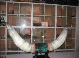 日用百貨 家居用品 企業(yè)黃頁 公司列表